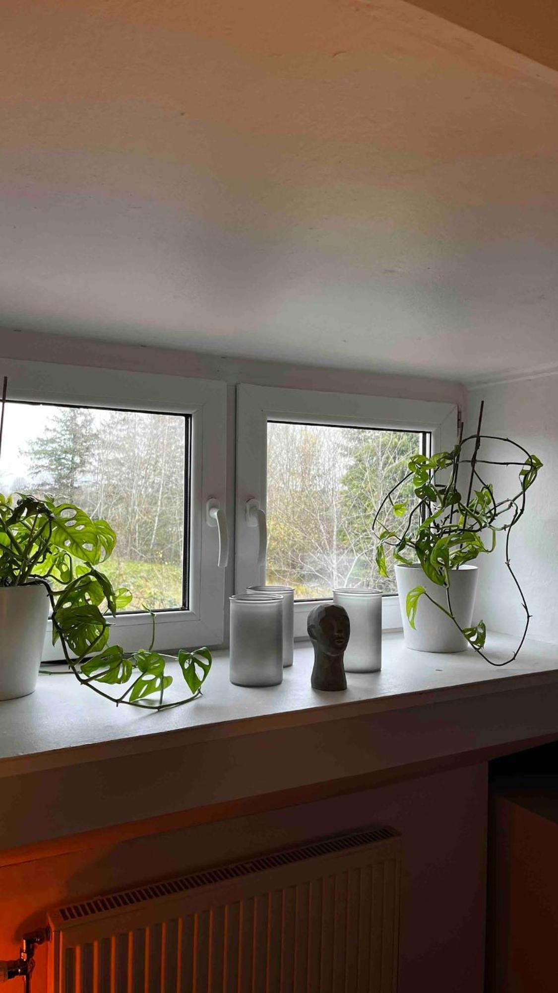Villa In Historical Uppakra Between Lund And Malmoe Staffanstorp ภายนอก รูปภาพ